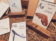 Load image into Gallery viewer, Australian Fauna Educational Flashcards - Printed Set
