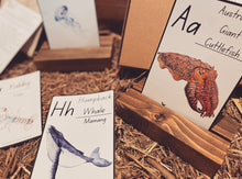 Load image into Gallery viewer, Australian Fauna Educational Flashcards - DIGITAL Copy