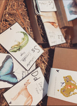 Load image into Gallery viewer, Australian Fauna Educational Flashcards - Printed Set