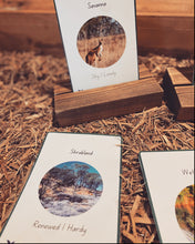 Load image into Gallery viewer, Relating Emotions to Ecosystems Educational Flashcards - DIGITAL Copy