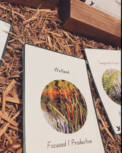 Load image into Gallery viewer, Relating Emotions to Ecosystems Educational Flashcards - Printed Set