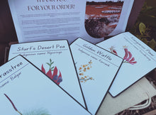 Load image into Gallery viewer, Australian Bush Flora Educational Flashcards - Printed Set