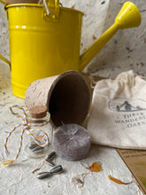 Load image into Gallery viewer, Grow your own sunflower kits 🌱🌻