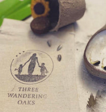 Load image into Gallery viewer, Grow your own sunflower kits 🌱🌻