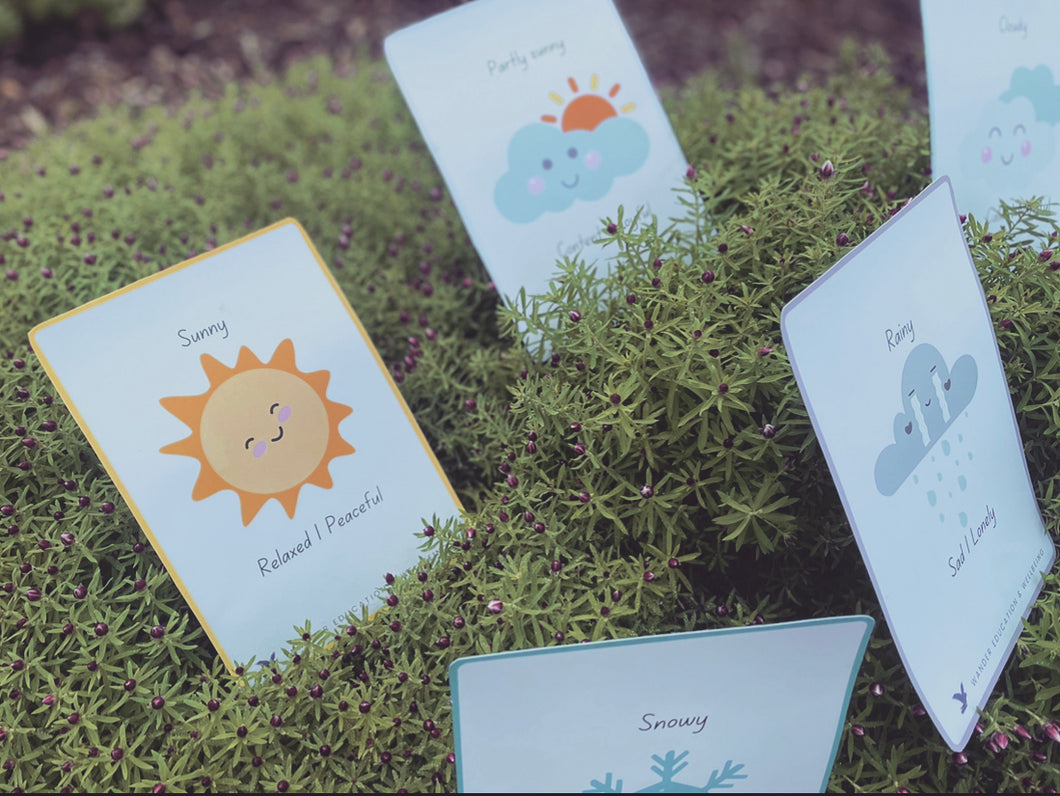 Forecast of Emotions Educational Flashcards - Printed Set